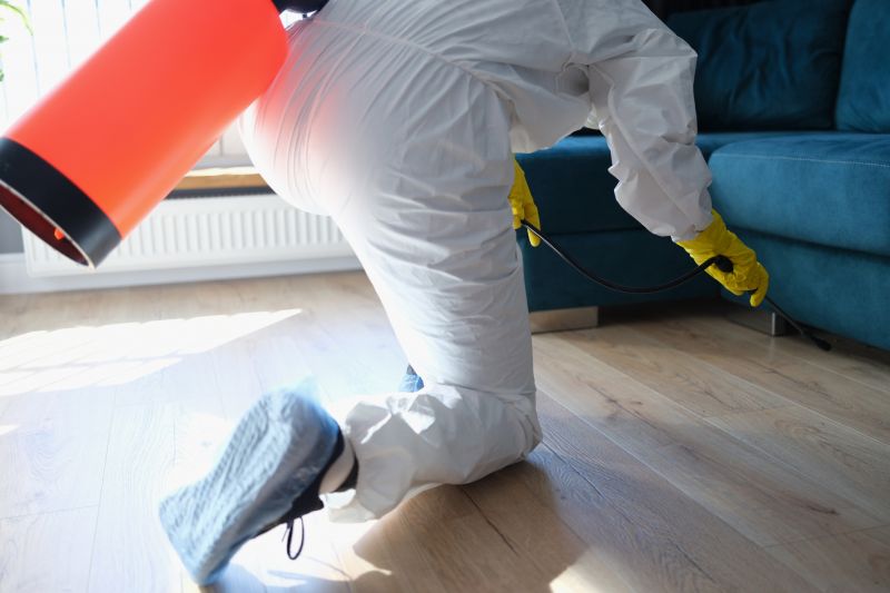 Beetle Removal in Arlington, TX