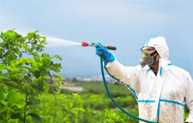 Pest Fumigation Service in San Jose, CA