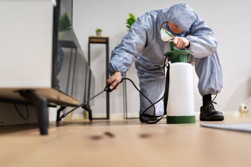 Rat Fumigation Service in Myrtle Beach, SC