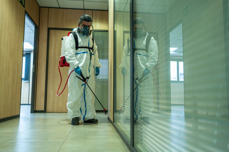 Spider Fumigation Service in Long Island, NY