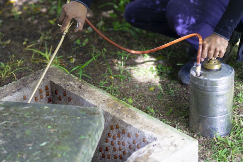 Spider Fumigation Service in Fort Collins, CO